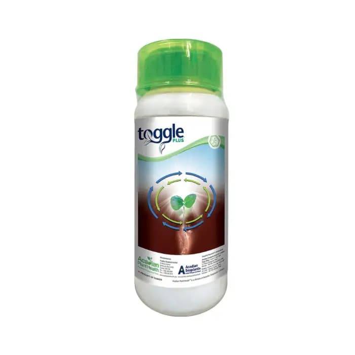 Acadian Toggle Plus Plant Growth Regulator, Helps Enhance Yields and Defend Against Yield-Robbing Impacts