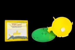 Funnel Trap With YSB Lure (Scirpophaga Incertulas) Yellow Stem Borer, Useful For Rice and Brinjal Fruit & Shoot Borer Moth. 4