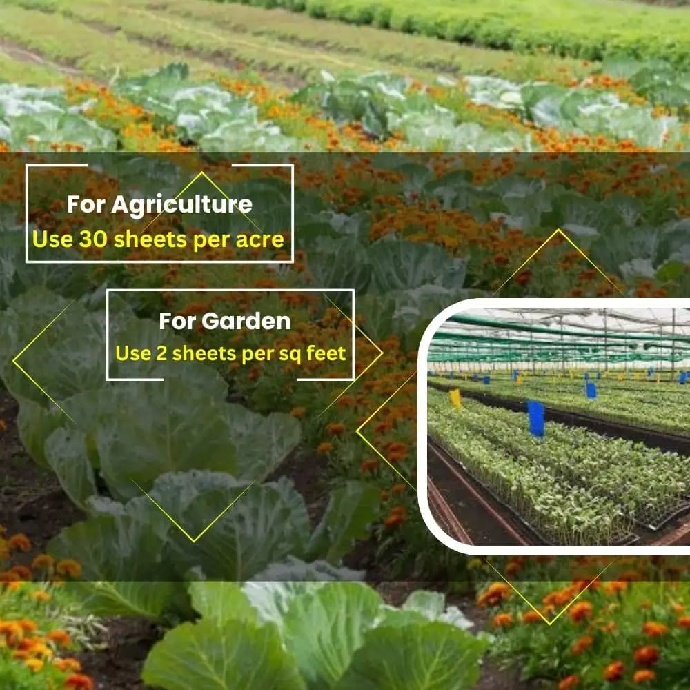 Chipku A5 Yellow & Blue Sticky Trap For Insects, For Garden & Agriculture To Control Whiteflies, Aphids, Thrips, Jassids - Image 11