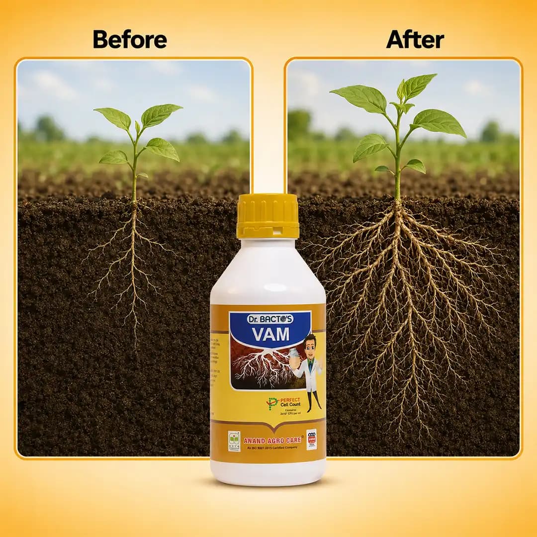 Dr.Bactos VAM Fertilizer - Image 7