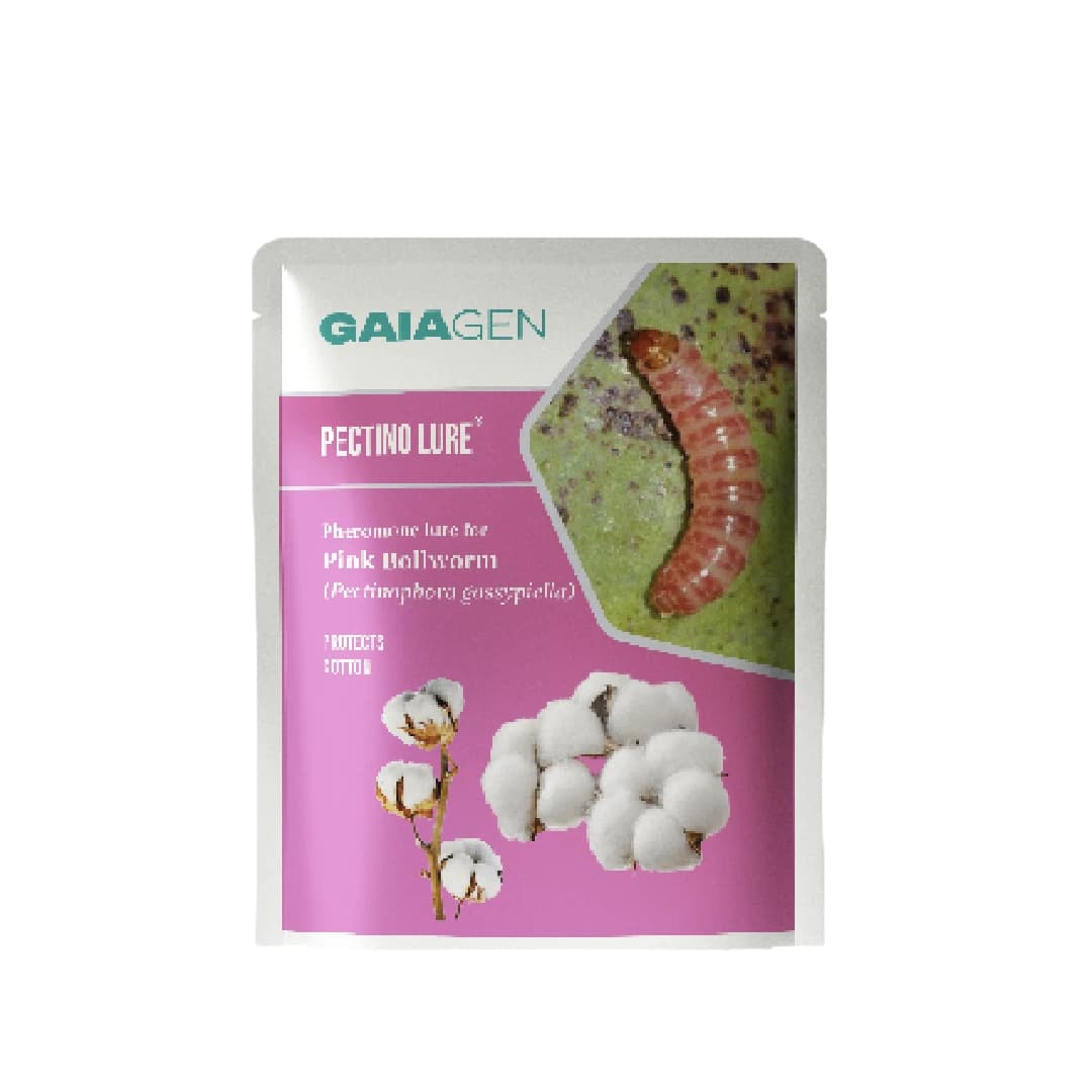 Gaiagen Pheromone Lure for Pink Bollworm (Pectinophora Gossypiella) And Insect Funnel Trap, IMO Certified. - Image 2