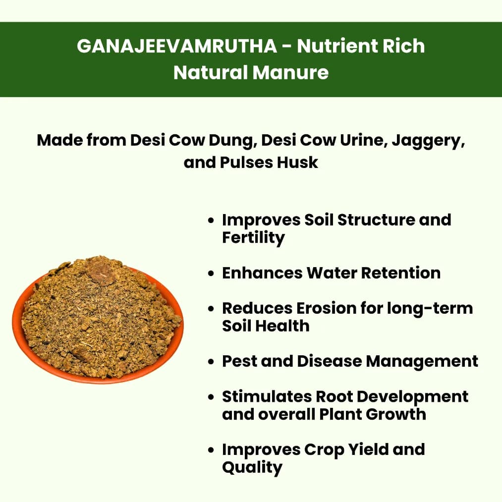 Pasuthai Ganajeevamrutha, Nutrient Rich Natural Soil Manure, Plant And Soil Growth Stimulator - Image 3