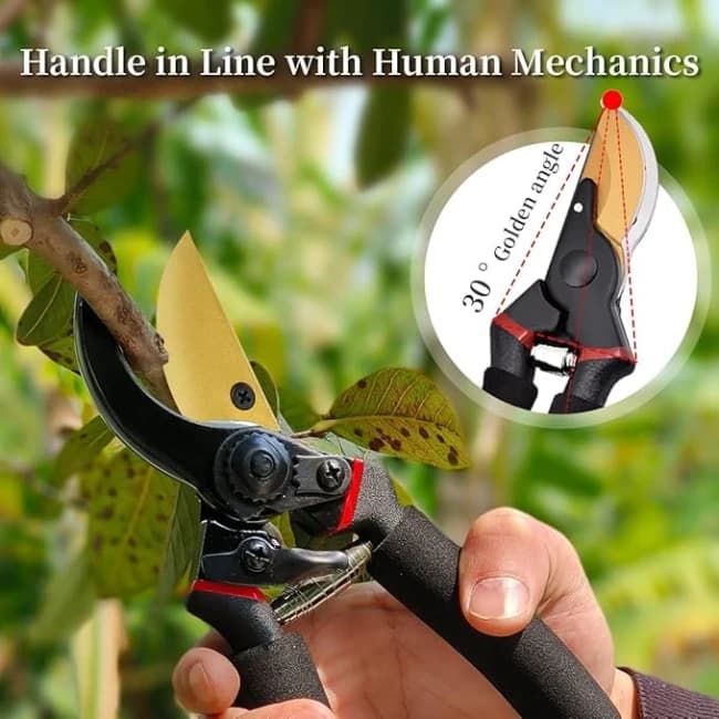 Radhe Agri Scissors, 8 Inch, Heavy Duty Plant Branch Cutter For Home Garden Tree Trimming - Image 4