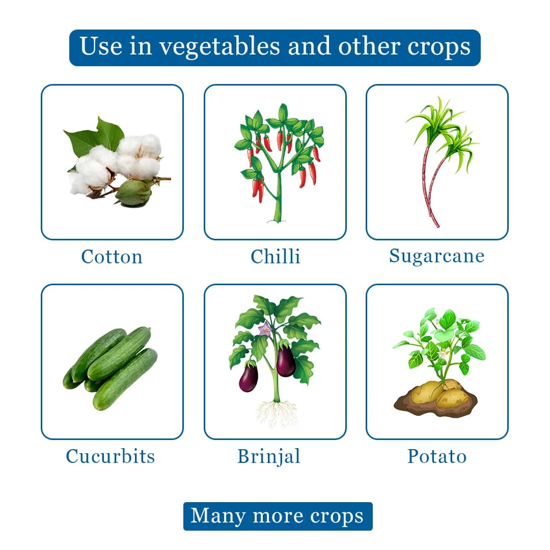 Finopride Insecticide - Fipronil 40% + Imidacloprid 40% WG - Image 4