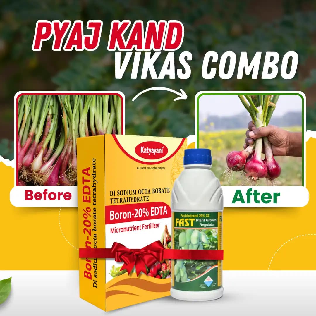 Katyayani Onion Bulb Growth Booster Combo, Advanced Nutrient Solution (Fast 100ml, Boron 20% EDTA 400gm) - Image 2