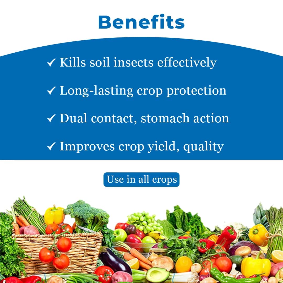 BACF CaTnip Insecticide - Chlorpyriphos 20% CS - Image 4