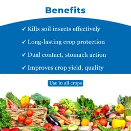 Bacf CaTnip Insecticide - Chlorpyriphos 20% CS 4