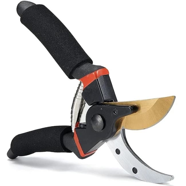 Radhe Agri Scissors, 8 Inch, Heavy Duty Plant Branch Cutter For Home Garden Tree Trimming - Image 7