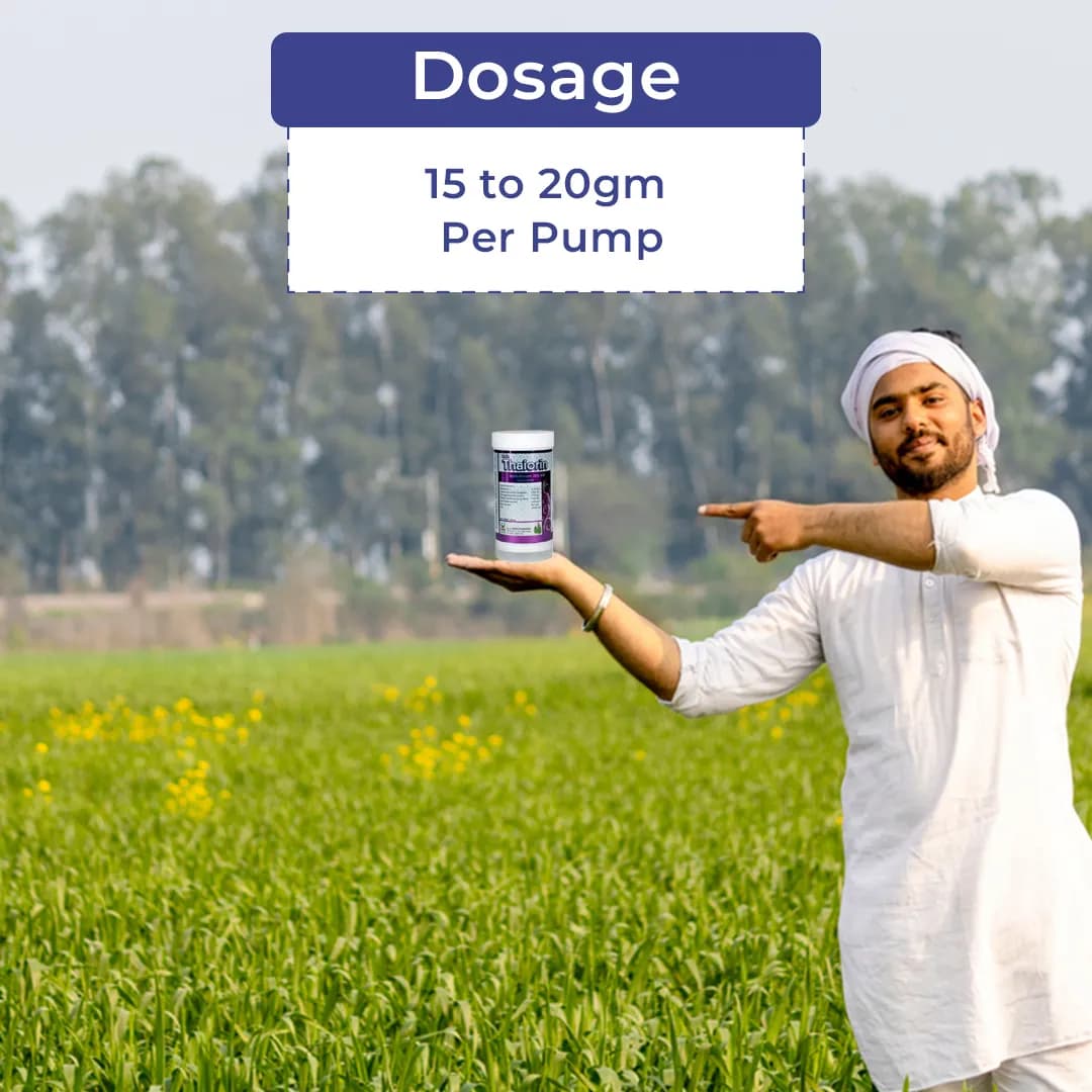 Thaiorin - Thiamethoxam 25% WG Insecticide, Useful For Rice, Cotton, Tomato, Brinjal, Potato, Best Use Against Brown Plant Hopper, Green Leaf, Thrips - Image 5