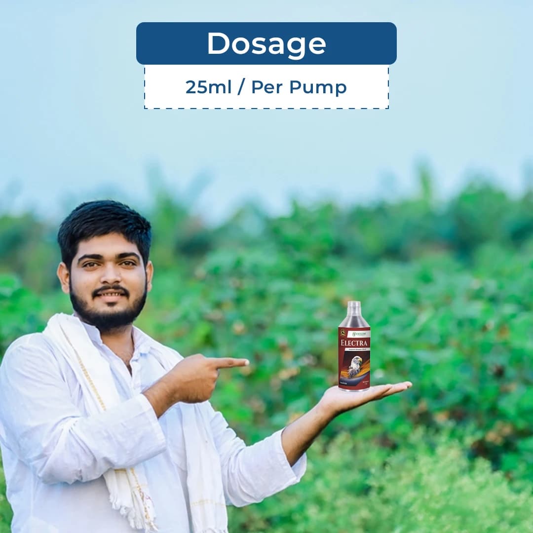 Exylon Electra Emamectin Benzoate 1.9% EC Insecticide, Effective Pest Control In Vegetables And Fruits Crops - Image 5