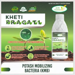 Agriventure Kheti Pragati (Kmb - Potassium Mobilizing Bacteria) Plant Growth And Development Bactericide Organic Product Bio Fertilizers 4