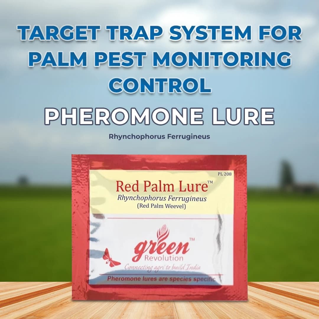 Pheromone Lure (Rhynchophorus Ferrugineus) For RPW - Red Palm Weevil. Useful In Coconut Palm, Date Palm, Oil Palm & Areca Nut Palm. - Image 2