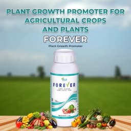 FOREVER - Special Plant Growth Promoter, Yield Enhancer, and Plant Immunity Booster (Humic Acid + Amino Acid + Seaweed Extract + Fulvic + Cytokinin) 2