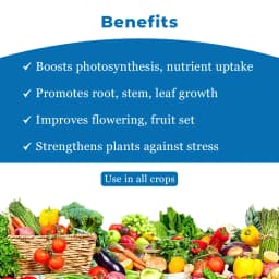 BACF Aminox , Amino acids , Plant cuticle waxes, and honey waxes, For All Type of Horticulture And Field Crops 4