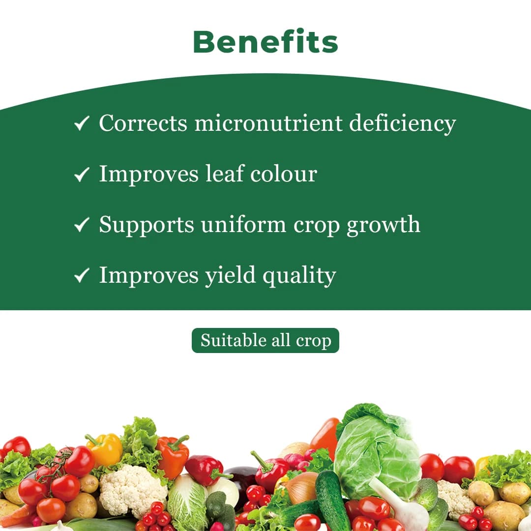 GACIL Enriched Multi Micronutrients Fertilizer Gujarat Grade 2 Growth Booster For Garden Plants - Image 4