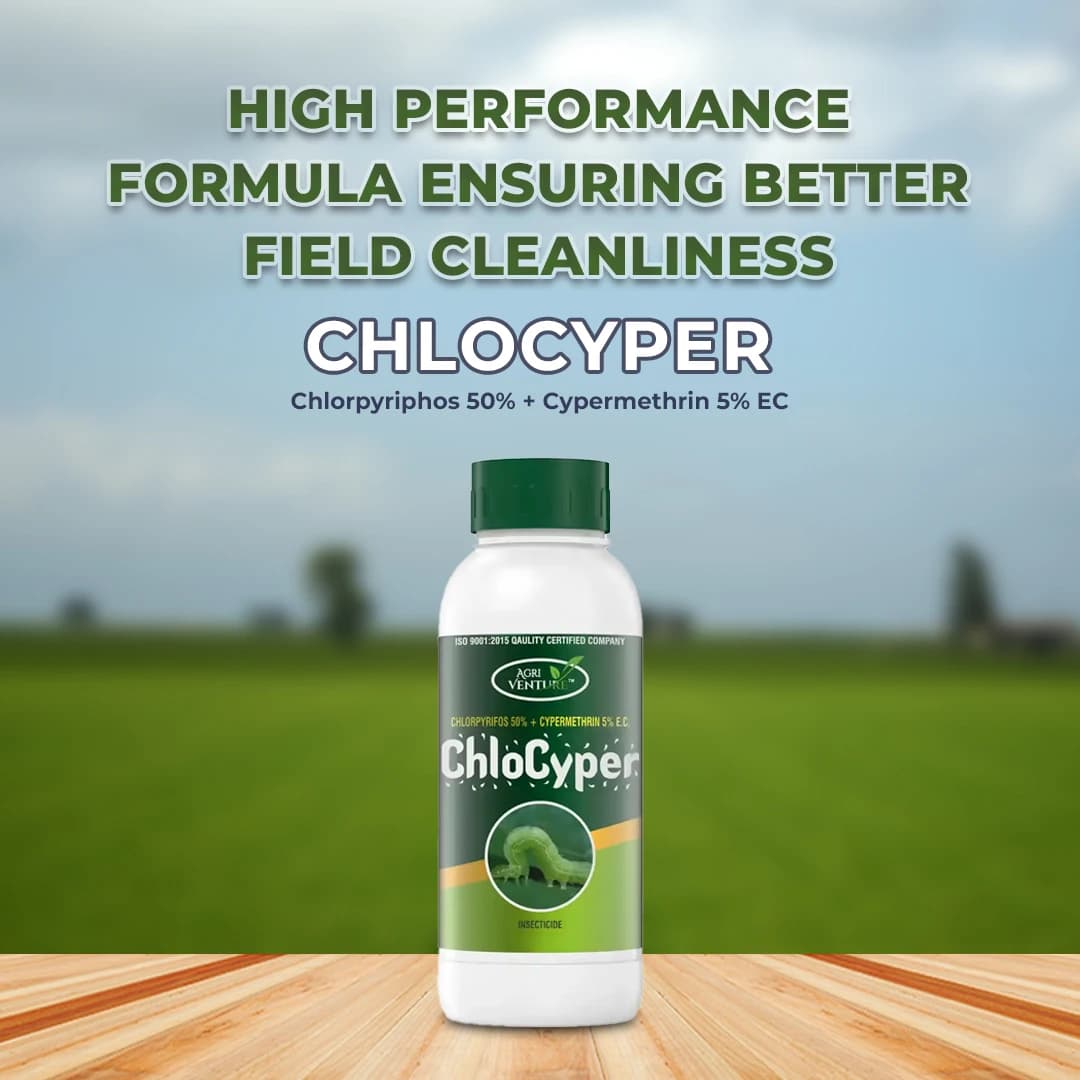 Agriventure Chlocyper (Chlorpyriphos 50% + Cypermethrin 5% Ec) Insecticides - Image 2