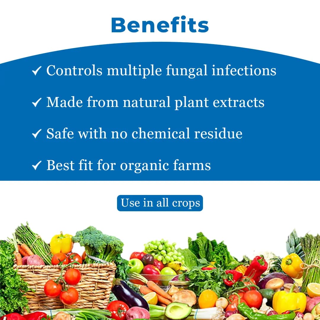EBS All In One Organic Fungicide, Effective Protection Against Fungal Diseases - Image 5