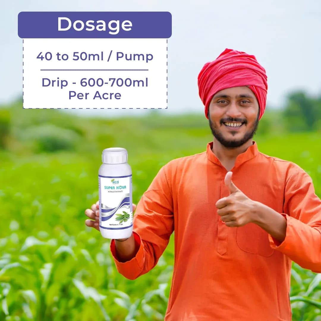 Super Nova - 100% Natural Seaweed Extract Bio-Stimulant, Improves Root Development, Specialized Bio-Fertilizer for All Crops - Image 5