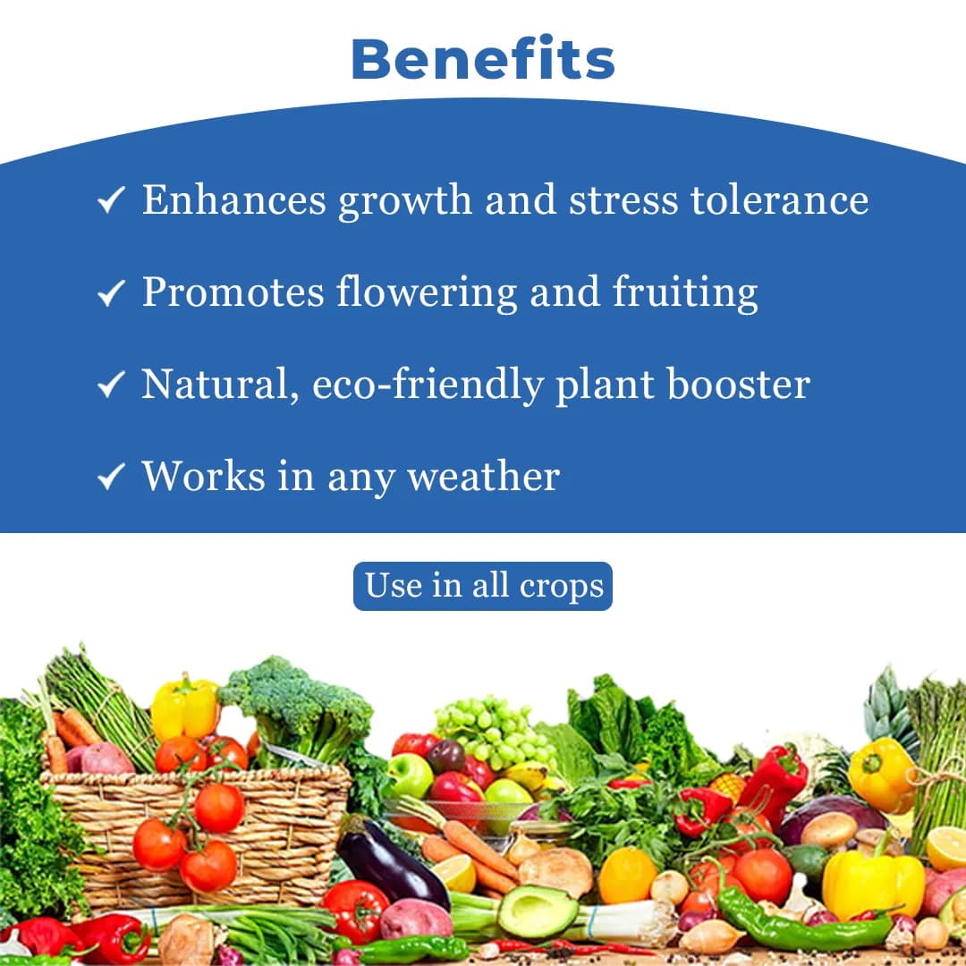 Acadian Goldstar Biostimulant, Ascophyllum Nodosum Seaweed Extract, Enhances Abiotic Stress Of Plant - Image 4