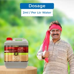 Hifield Organics HUMIC ECO Humic Acid, Fulvic Acid, Root Growth, Plant Growth, Potassium Humate 5