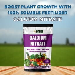 Gacil Calcium Nitrate for Fruit and Vegetable Plant Growth, Boosts Flowering and Fruit Holding Capacity 2