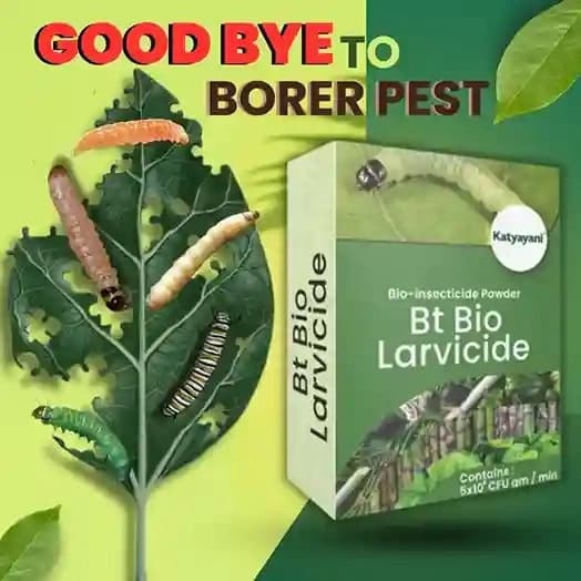 Katyayani Bt Bio Larvicide (Powder) Effective Bio-Pesticide For Natural and Eco-Friendly Larvae Control In Crops - Image 2
