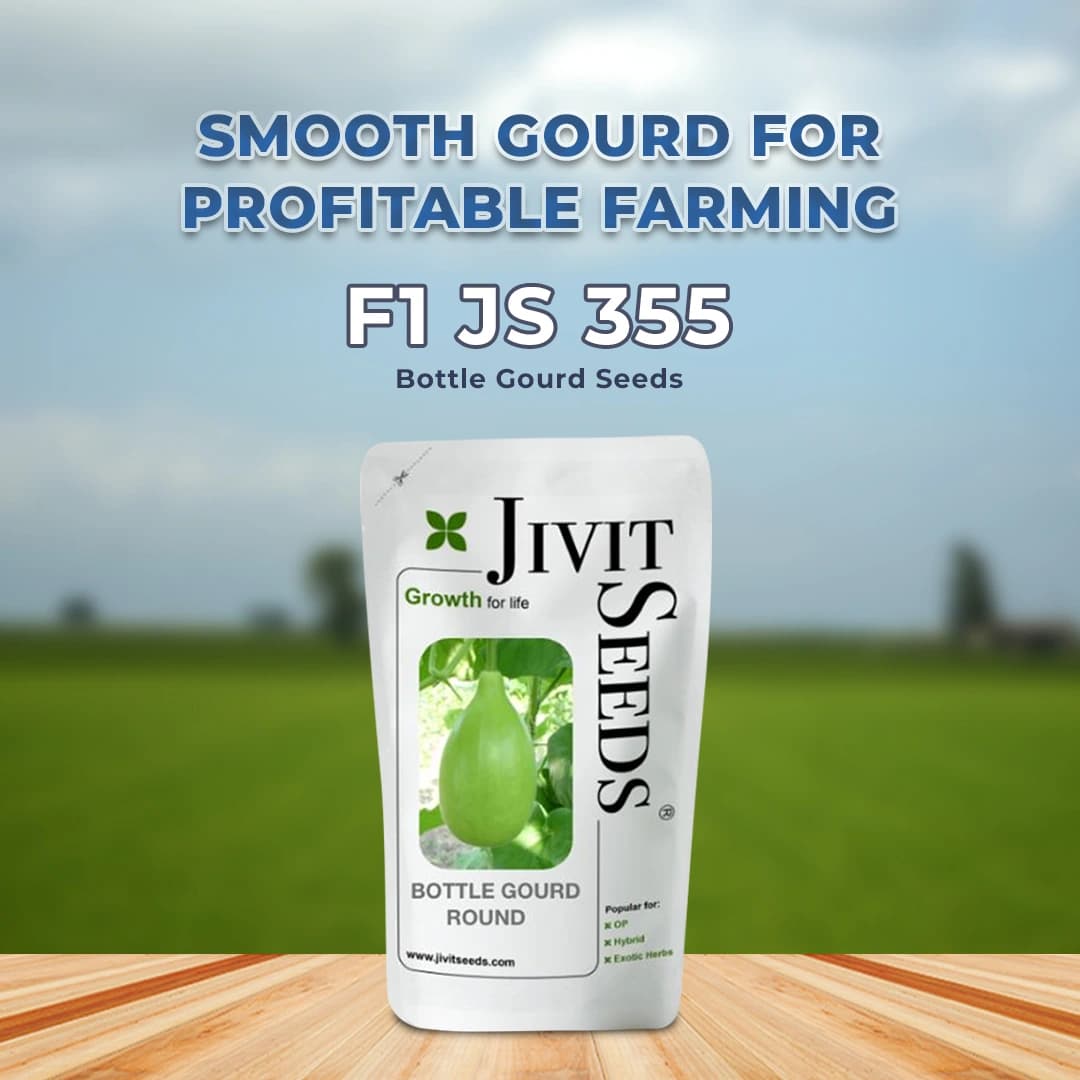 Jivit Hybrid F1 JS 355 F1 Hybrid Komal Type Bottle Gourd Seeds, Cylindrical Shape, Shinning Light Green Color. - Image 2