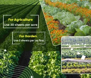 Chipku A5 White Sticky Trap For Insects, Useful for Farming Outdoor and Gardening (Size 150 MM x 200 MM) - Image 9