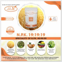 Agriventure NPK 19:19:19 Imported 100% Water Soluble Drip and Foliar Spray Fertilizer 7