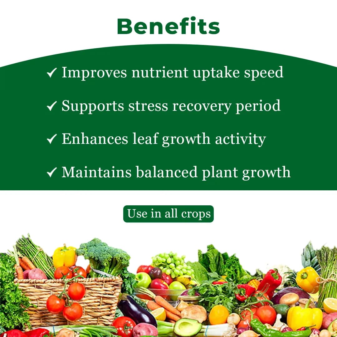 Exylon Zuruca Amino Acid & Vitamin Plant Growth Regulator, Bio-Stimulant for Growth & Stress Resistance For All Crops - Image 4