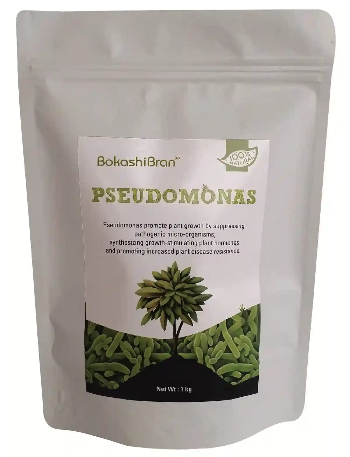 Bio Pesticide Pseudomonas Fluorescens For Controlling All The Fungal Disease - Image 1