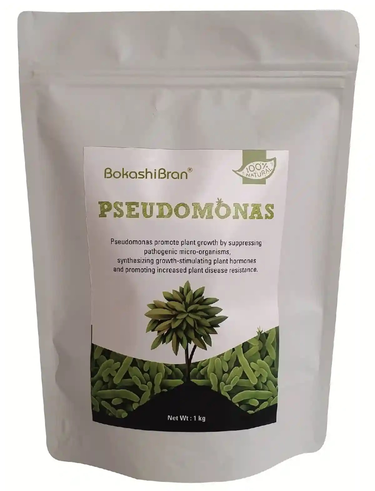 Bio Pesticide Pseudomonas Fluorescens For Controlling All The Fungal Disease