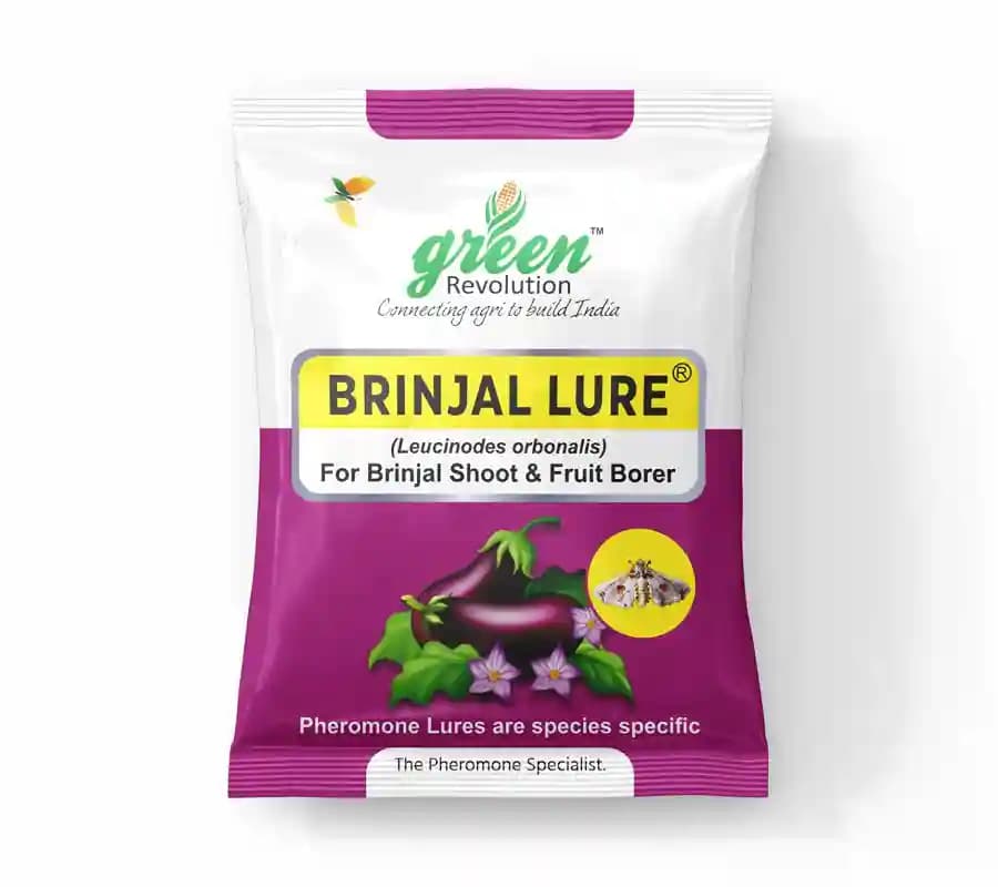 Green Revolution Brinjal Lure - Pheromone Trap For Brinjal - Image 8