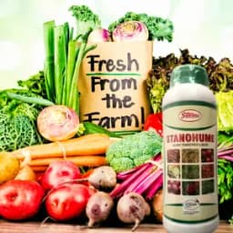 T Stanes Stanohume (12% HA) Plant Growth Regulator, Improves The Structure of the Soil and Increases Water Retention, Use for Home Garden and Plants 5