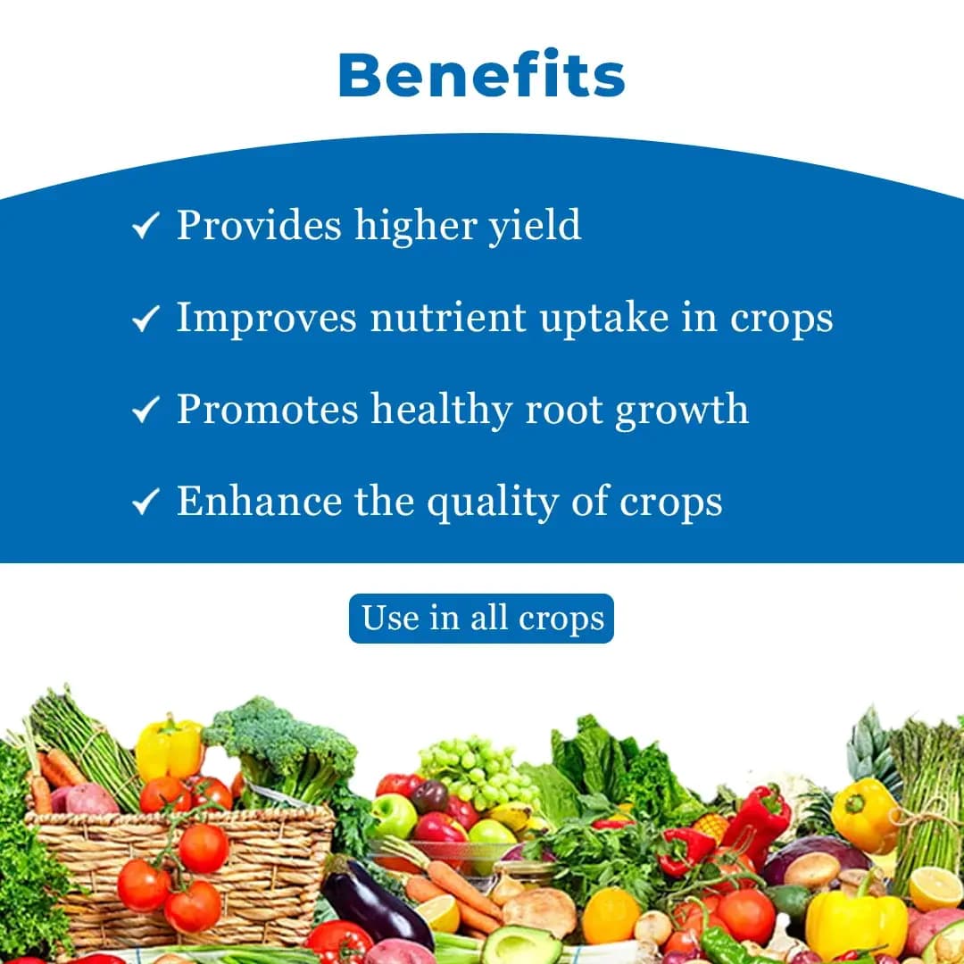 SPRING EVER - Special Plant Growth Promoter, Non-Toxic and Safe to Use, Combination of Humic Acid, Amino Acid, Fulvic Acid, Seaweed Extract, Cytokinin - Image 4