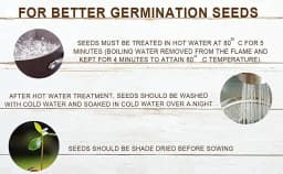 SK International Hedge Lucerne Seeds (Velimasal, Dasrath Grass Seeds) For Cattle Fodder 6