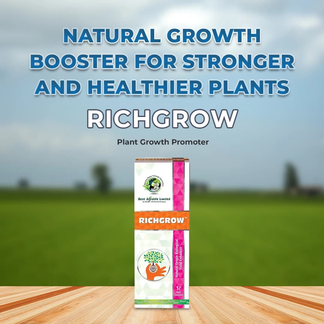 Best Agrolife Richgrow Plant Growth Promoter, Increases yields by offering highly bio available - Image 2