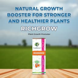 Best Agrolife Richgrow Plant Growth Promoter, Increases yields by offering highly bio available 2