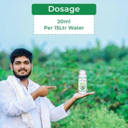 Star One - Larvicide for Bollworms, Fruit and Shoot Borer, and Leaf Miner, Non-Toxic and Effective Against All Larvae 6