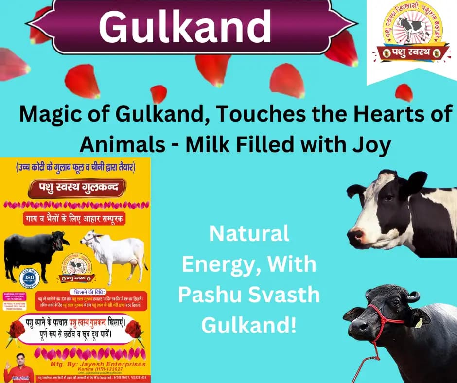 PASHU SVASTH GULKAND, Rose Infused Herbal Milk Booster, Stomach Cooler For Cattle And Animal Health Supplement - Image 5