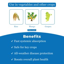 Rain Hexarin Plus Fungicide - Hexaconazole 5% SC 4