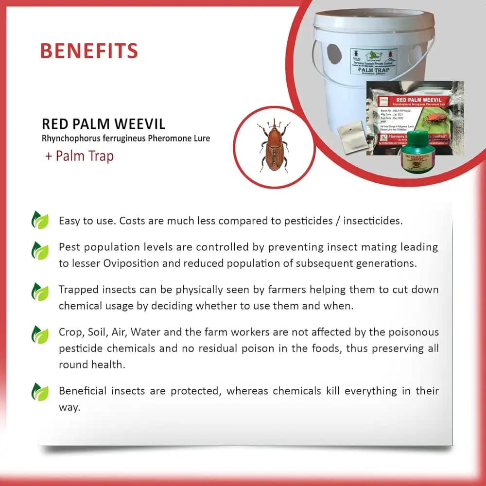 ACTIVE IPM Palm Trap + Red Palm Weevil Pheromone Lure, Pest Control Tool For Rhynchophorus Ferrugineus - Image 5