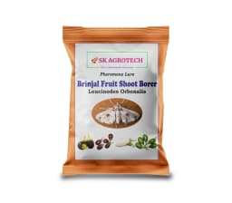 SK Agrotech Leucinodes Orbonalis (Brinjal Fruit and Shoot Borer) Pheromone Trap With Lure - Effective Pest Management Solution 3