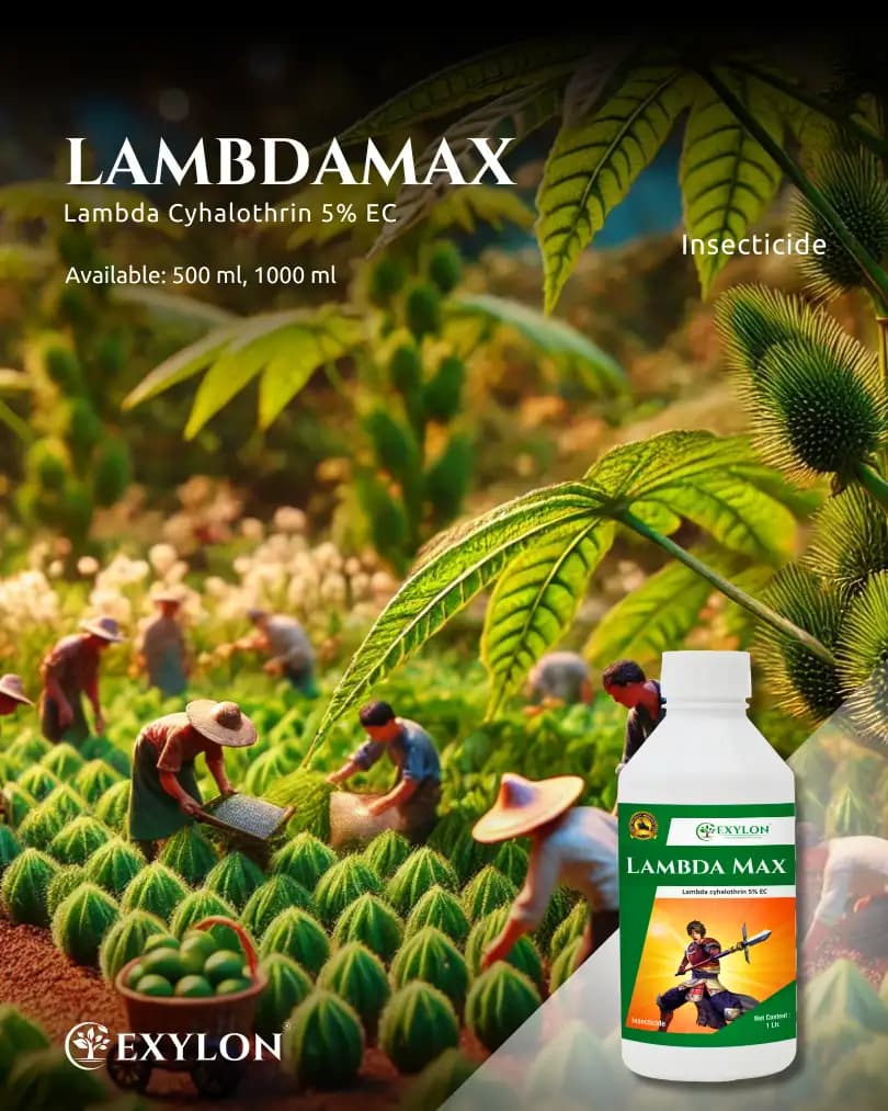 Exylon LambdaMax Lambda Cyhalothrin 5% EC Insecticide, Fast Knockdown And Lasting Control Of Bollworms, Aphids And Whiteflies In Crops - Image 2