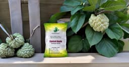 SRI SAI FORESTRY Custard Apple Seeds, Sitafal Ke Beej, Sugar Apple Seeds, Sweetsop Seeds, Annona squamosa Fruit Tree Seeds 9