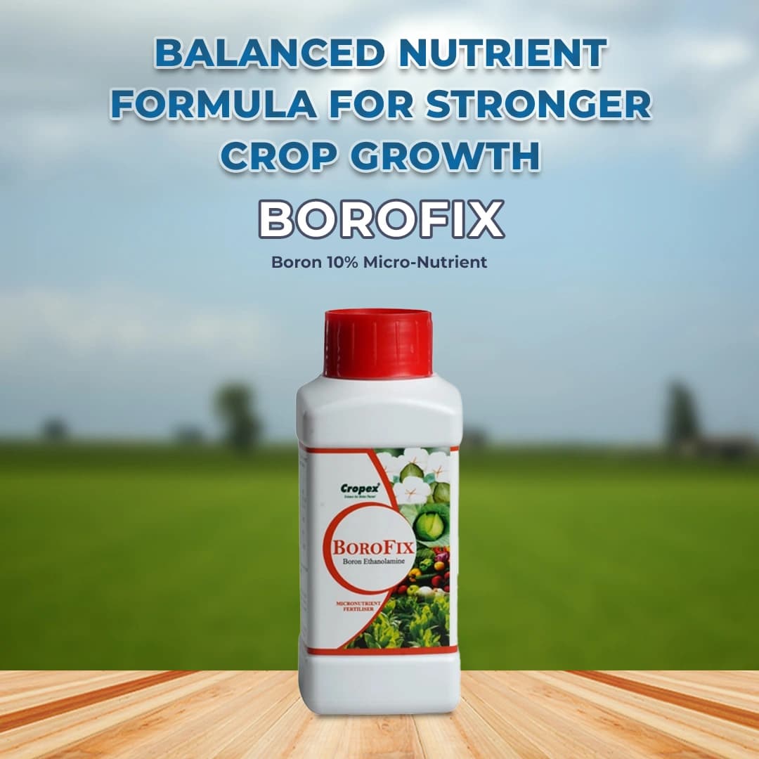 Borofix Boron Ethanolamine, Boron 10% Micro-Nutrient Fertilizer for all Crops, Improves Fruiting and Growth - Image 2