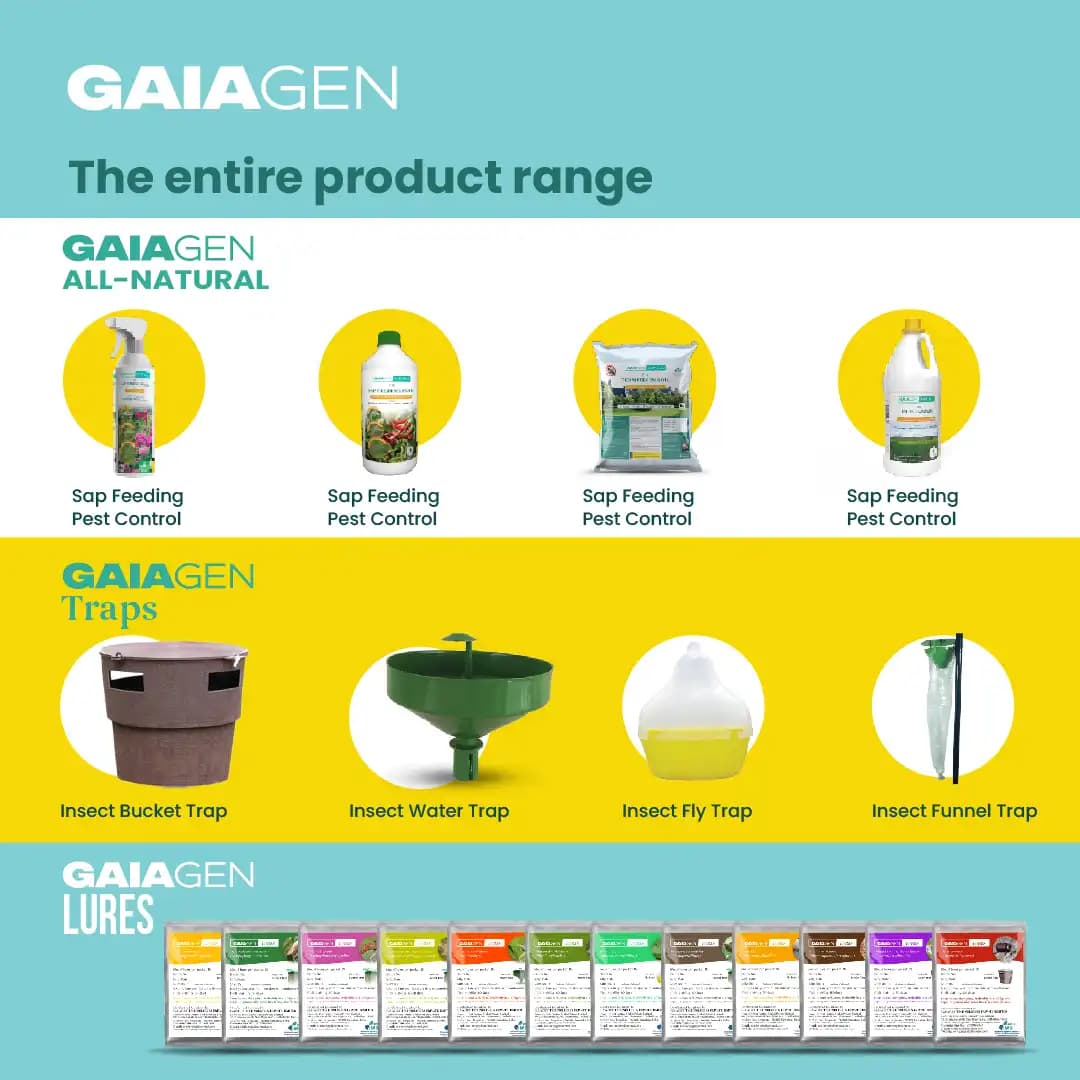 Gaiagen RB Lure Combo , Pheromone Lure For Rhinoceros Beetle Outdoor Plants (Oryctes Rhinoceros) and Insect Bucket Trap, IMO Certified. - Image 9