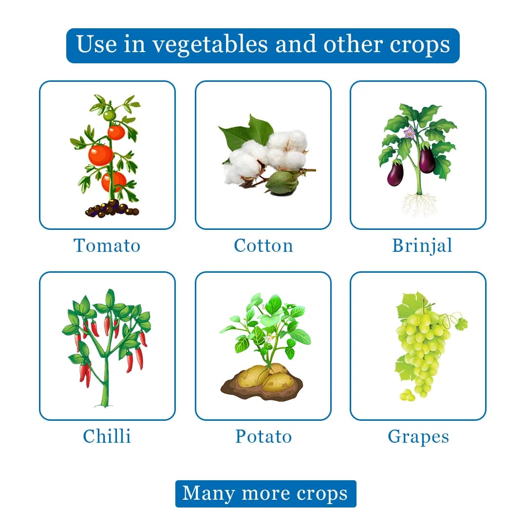 F-Zone - Fungicide, For Effective Control Over All Types of Fungal Diseases in Crops - Image 5