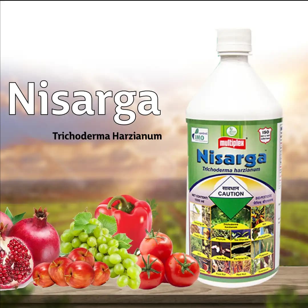 Multiplex Nisarga Trichoderma Viride 5% L.F Fungicide, Effective Fungal Disease Control - Image 2