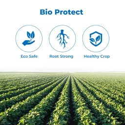 BACF Trident Trichoderma Viride 1.5% WP, An Organic Biological Fungicide For All Type of Field And Horticulture Crops 3